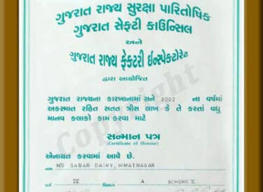 Gujarat State Safety Award